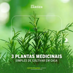 3 PLANTAS MEDICINAIS SIMPLES DE CULTIVAR EM CASA